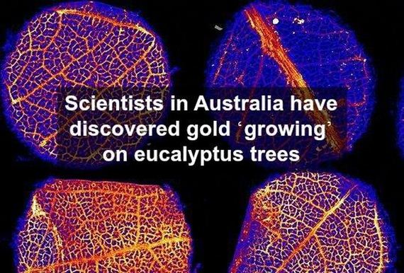 interesting_facts_about_science