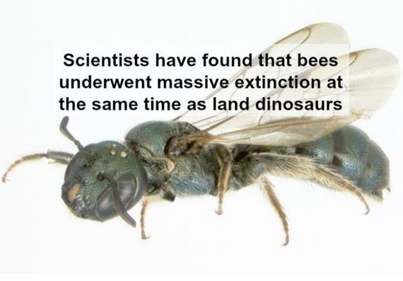interesting_facts_about_science