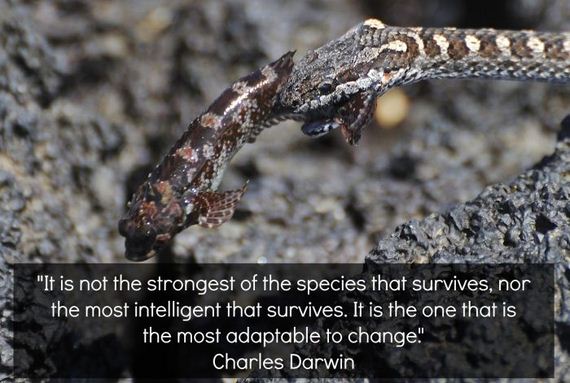 interesting_facts_about_science