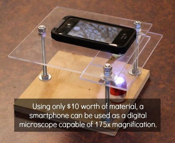 interesting_facts_about_science
