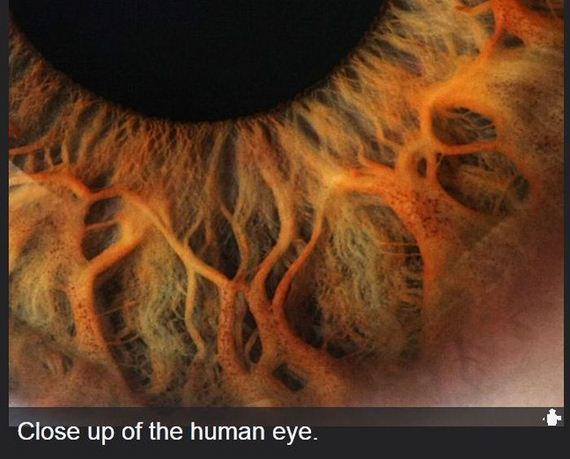 interesting_facts_about_science