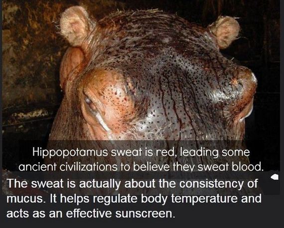 interesting_facts_about_science