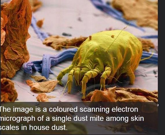 interesting_facts_about_science