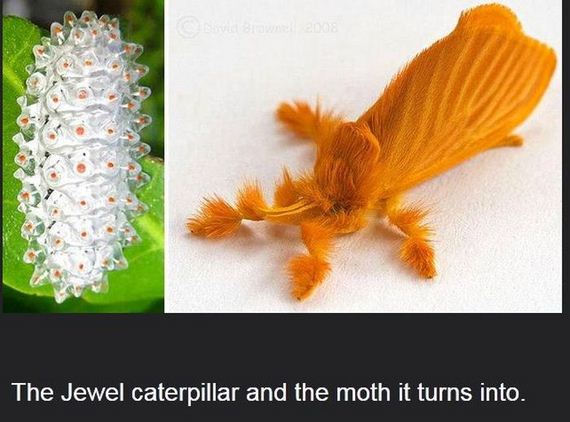 interesting_facts_about_science