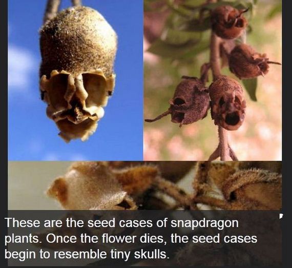 interesting_facts_about_science