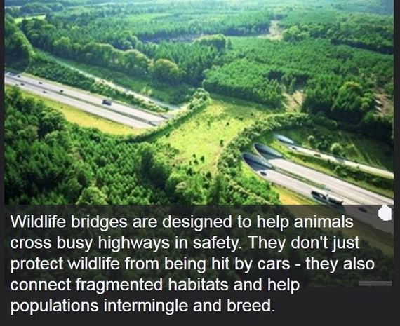 interesting_facts_about_science