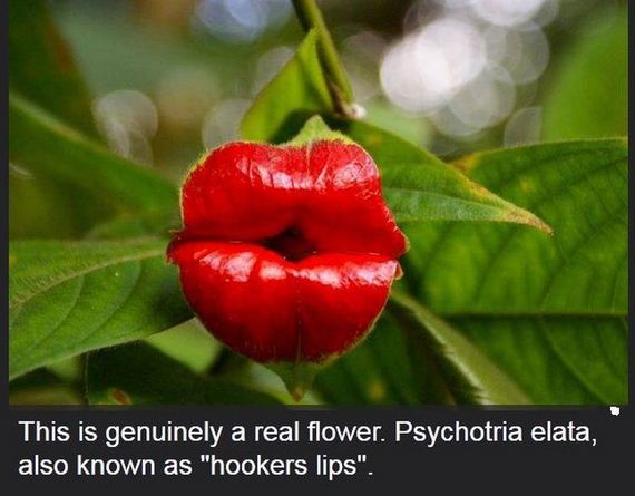 interesting_facts_about_science