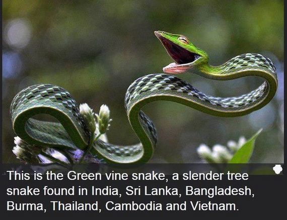 interesting_facts_about_science