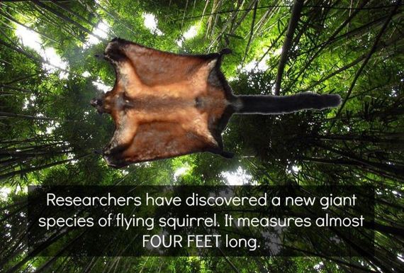 interesting_facts_about_science