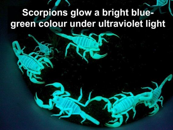 interesting_facts_about_science