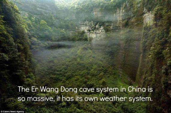 interesting_facts_about_science