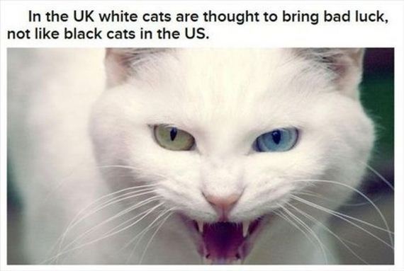 interesting_halloween_facts
