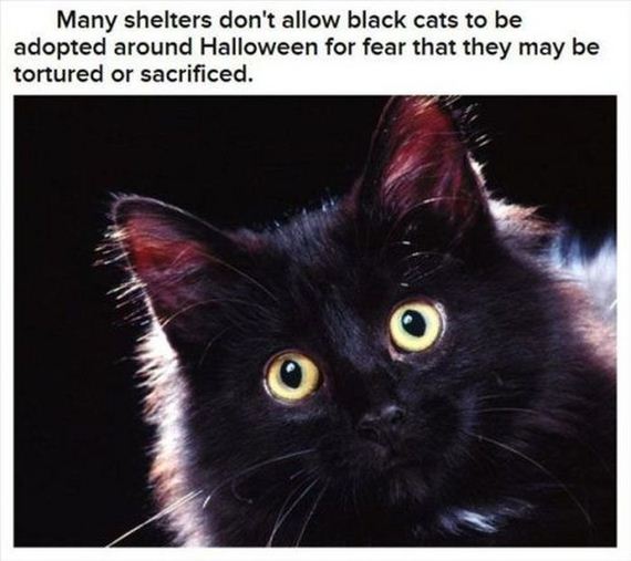 interesting_halloween_facts