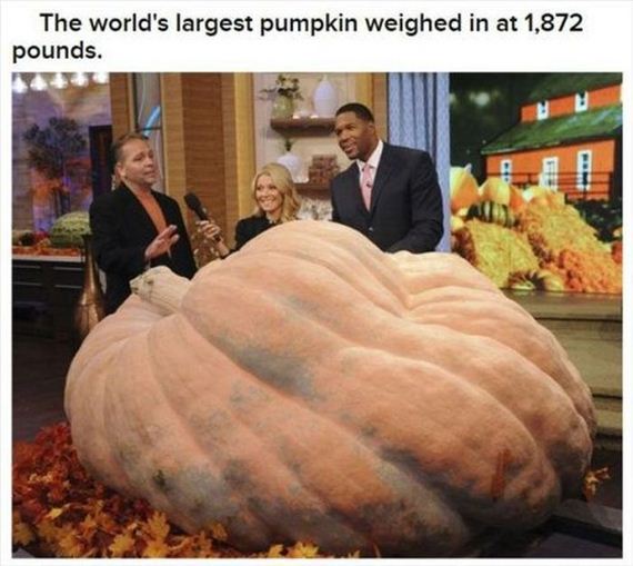 interesting_halloween_facts