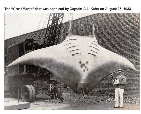 interesting_historical_photos_07