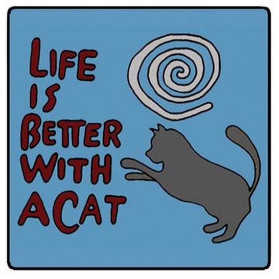 life_advice