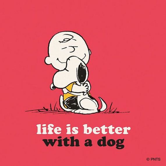 life_advice