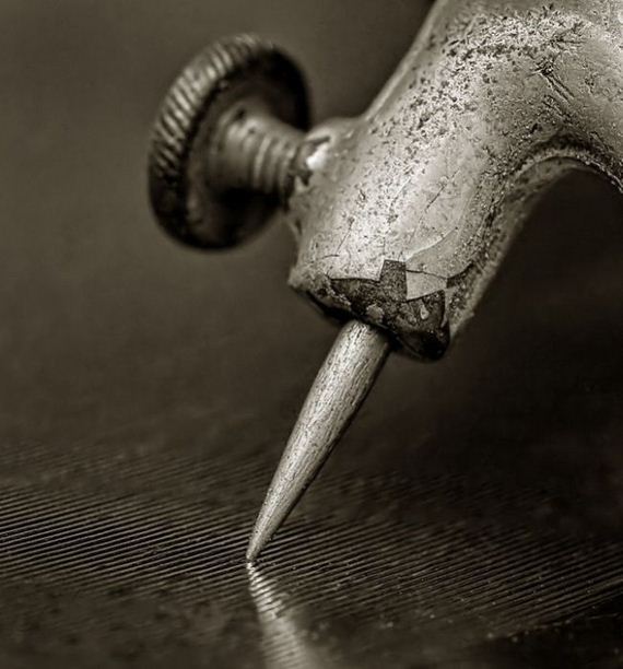 macro_photography