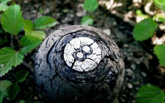 macro_photography