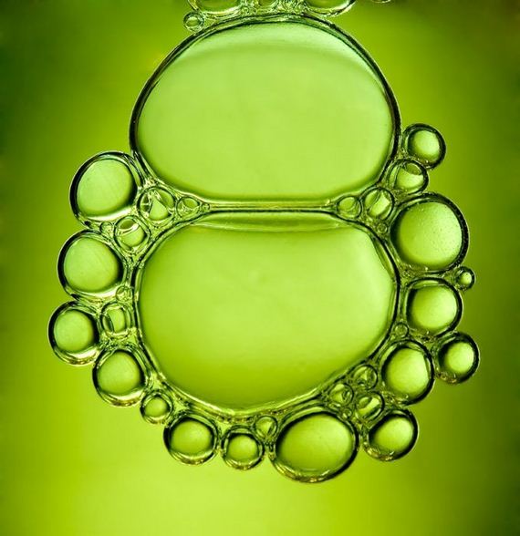 macro_photography