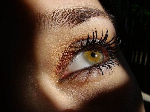 macro_photography
