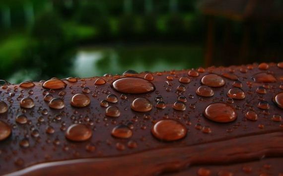 macro_photography