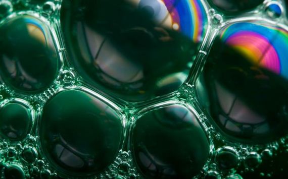 macro_photography