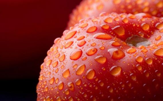 macro_photography
