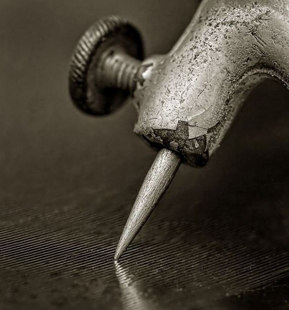macro_photography