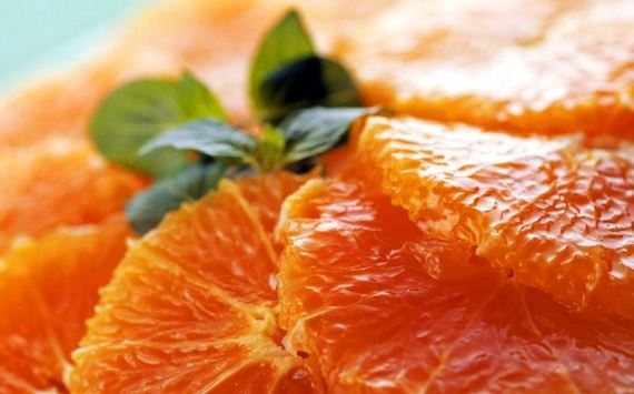 macro_photography