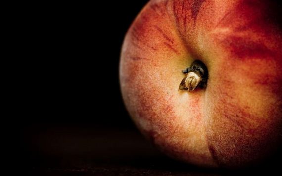 macro_photography