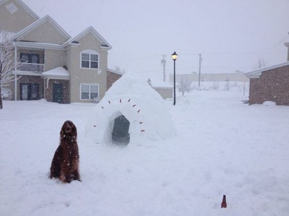 made_an_igloo