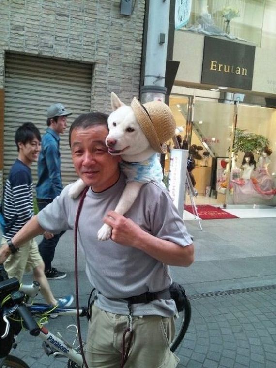 mans_best_friend