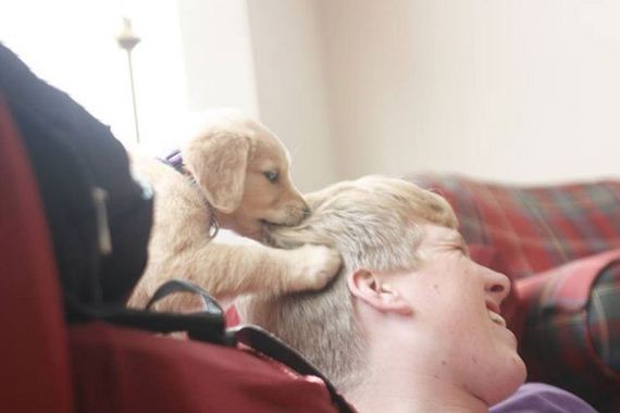mans_best_friend