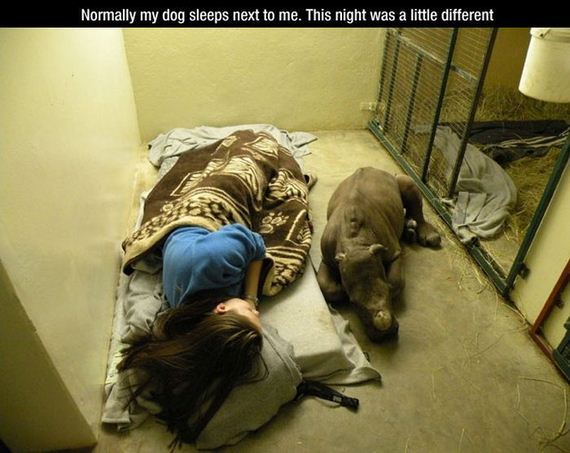 mans_best_friend