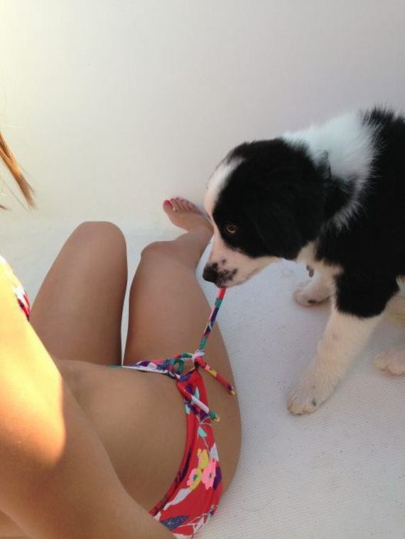 mans_best_friend