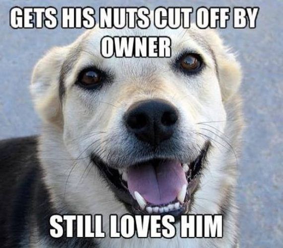 mans_best_friend