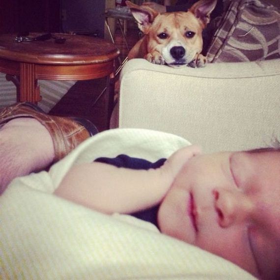 mans_best_friend