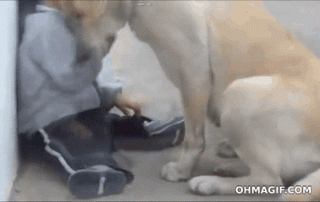 mans_best_friend