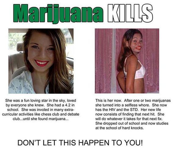 marijuana_disinformation_finest