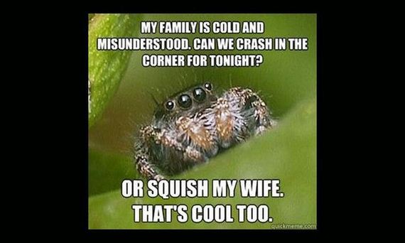 misunderstood_spider_meme