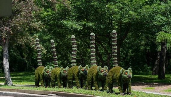 montreal_international_mosaicultures
