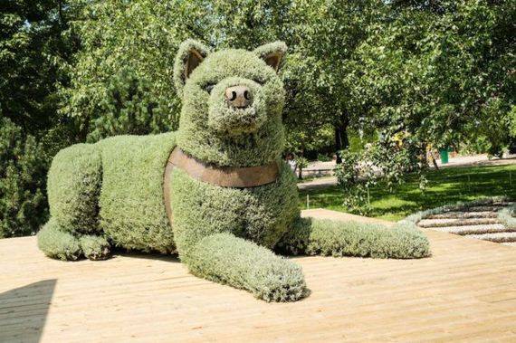 montreal_international_mosaicultures
