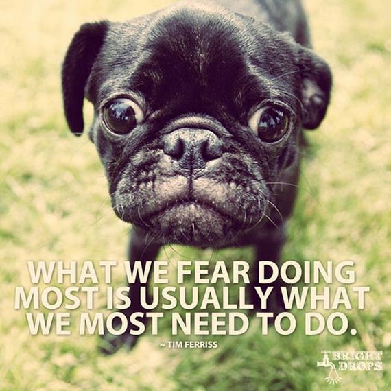 motivation_pictures_10