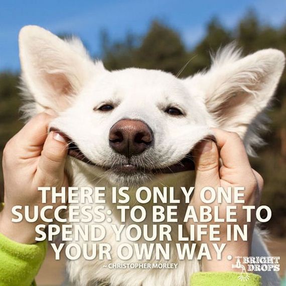 motivation_pictures_10