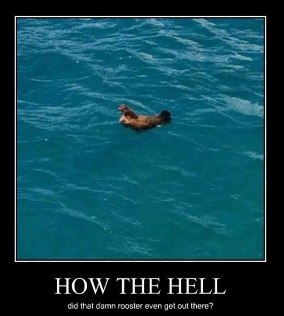 motivational-203