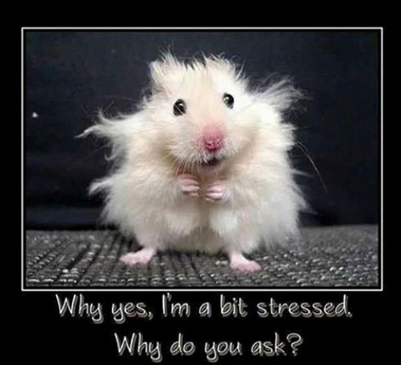motivational-203