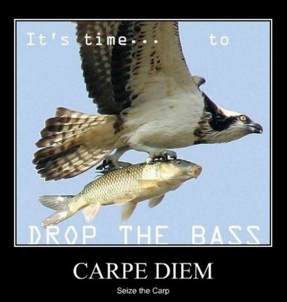 motivational-205