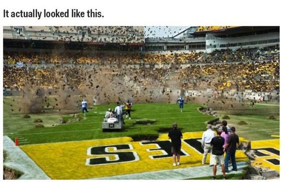 movies_before_and_after_visual_effects