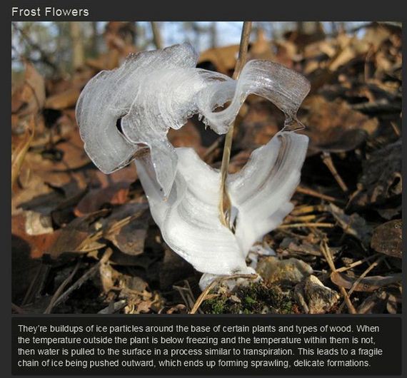 natural_phenomena